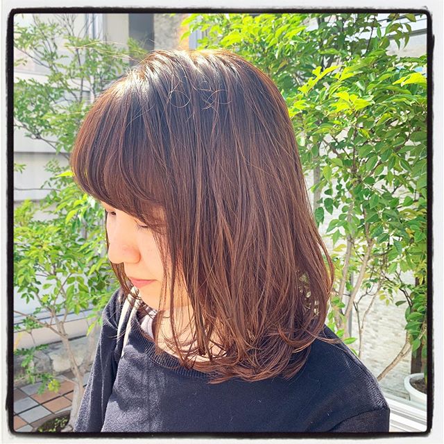 こんにちは！アニモフィオレンテ大沢店スタイリスト長崎です！ モノトーンのカラーリングおすすめです！！くすみ系の定番！どんなヘアスタイルにも似合います◎#美容室#北越谷#BRP#美容求人#アシスタント募集#スタイリスト募集#アイリスト募集#美容学生#サロン見学#ママさん美容師#埼玉　#越谷 #ミディアムヘア  #ボブスタイル#伸ばしかけ #グレージュカラー #くすみ系カラー #ボブパーマ #大人女子ヘア