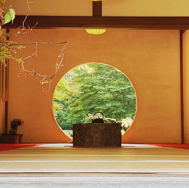 こんにちは！アニモフィオレンテ大沢店長崎です！先日のお休みは、鎌倉に出かけました！天気も良く気持ちよかったです️♪ 有名な明月院にも行き、空気が綺麗でリフレッシュできました?！あっという間に12月ですが、今月も元気に頑張ります！！ #美容室#北越谷#BRP#美容求人#アシスタント募集#スタイリスト募集#アイリスト募集#美容学生#サロン見学#ママさん美容師#埼玉　#越谷　#美容師の休日