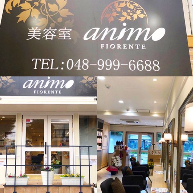 アニモフィオレンテ吉川美南です★昨年の１１月にグランドオープンしました！せんげん台店★店内も更に！オシャレに可愛く！なりましたっ★せんげん台にお住まいのご友人様やご親族様いらっしゃいましたら、是非是非！ご紹介ください！！ご紹介でのご来店とご予約時にお申し付けくだされば、定価より40%オフにてご案内させていただけますっ！！！ #ナプラ#Nドットセラム#ミルボン#Nドットシアミルク#お子様同伴ok #当日ご予約OK#ロブ#エルジューダ#エルジュダエマルジョン#草加#新田#草加公園#青柳#蒲生商店街#蒲生駅#ナシードカラー#女性スタッフのみ#ナピュール#ヘアビューロン#アレンジスタイル#ビューロンカールアイロン#2019#袴ヘア#袴#ゴルフ#縮毛矯正