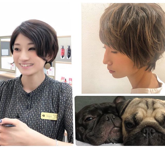 アニモフィオレンテ吉川美南の飛鳥馬です。ショートスタイル、パーマスタイルならお任せ下さい★また、愛犬家なのでワンチャン好きのお客様いらしたらお話しましょう！アニモフィオレンテ吉川美南イオンモール店でごゆっくりされませんか？#ナプラ#Nドットセラム#ミルボン#Nドットシアミルク#お子様同伴ok #当日ご予約OK#エルジューダ#エルジュダエマルジョン#ナシードカラー#ナピュール#ヘアビューロン#ビューロンカールアイロン#袴ヘア#袴#ゴルフ#縮毛矯正  #美容室  #BRP #美容求人 #アシスタント募集 #スタイリスト募集 #アイリスト募集 #美容学生 #サロン見学 #ママさん美容師 #埼玉#吉川美南