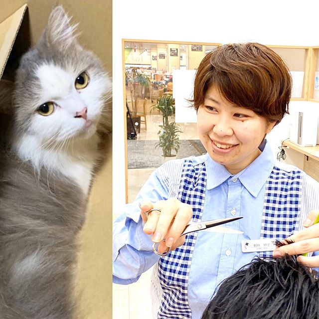 ４月から仲間入りしたスタイリストの朝井★ショートカット、メンズカット、キッズカットも得意で★カウンセリングご密で早い！！！パーマスタイルも得意です！御朱印集めが好きで愛猫家です★#ナプラ#Nドットセラム#ミルボン#Nドットシアミルク#お子様同伴ok #当日ご予約OK#エルジューダ#エルジュダエマルジョン#ナシードカラー#ナピュール#ヘアビューロン#ビューロンカールアイロン#袴ヘア#袴#ゴルフ#縮毛矯正  #美容室  #BRP #美容求人 #アシスタント募集 #スタイリスト募集 #アイリスト募集 #美容学生 #サロン見学 #ママさん美容師 #埼玉#吉川美南