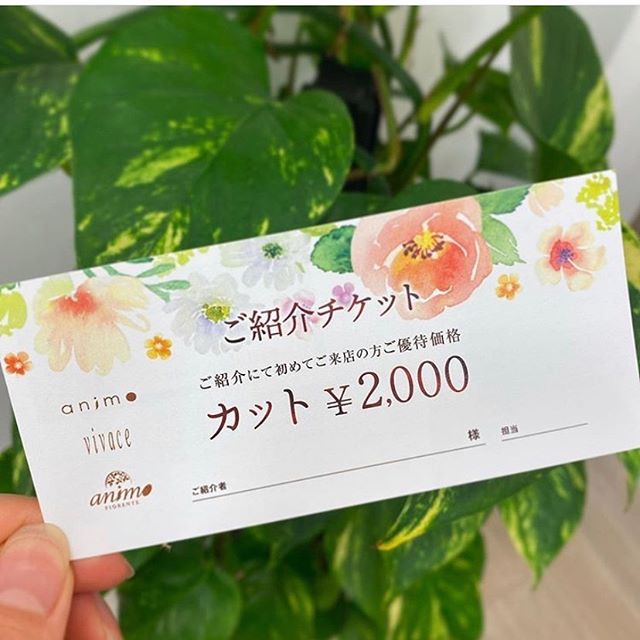 ご紹介チケットが新しくなりました。会員様からのご紹介でご来店のお客様カット2000円にてご案内させて頂けます！まずはカットだけでもお試しでいらしてくださいませんか？？ #ナプラ#Nドットセラム#Nドットシアミルク #当日ご予約OK#ミルボン#エルジューダ#エルジュダエマルジョン#リファストレートアイロン#縮毛矯正  #美容室  #BRP #美容求人 #アシスタント募集 #スタイリスト募集 #アイリスト募集 #美容学生 #サロン見学 #ママさん美容師 #埼玉#吉川美南#イオンタウン