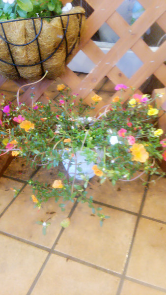 BeautyPlus_20150909171048_fast