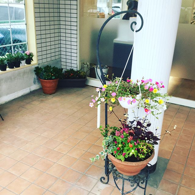 秋ですね秋用にお花の植替えしました♪ #N.#エヌドット#ナプラ#Nドットセラム#ミルボン#Nドットシアミルク#お子様同伴ok #当日ご予約OK#ロブ#エルジューダ#エルジューダエマルジョン#草加#新田#草加公園#青柳#蒲生商店街#蒲生駅#ナシードカラー#女性スタッフのみ#スタッフみんな30代?#モエモエ