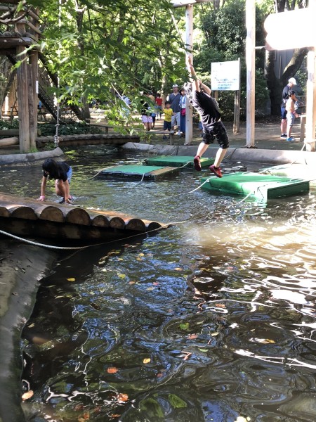 13A6690E-9BDF-4B37-87A9-46C87A43AD72