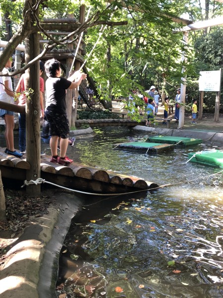 2F29A850-1037-46EA-9B86-26274E09A285