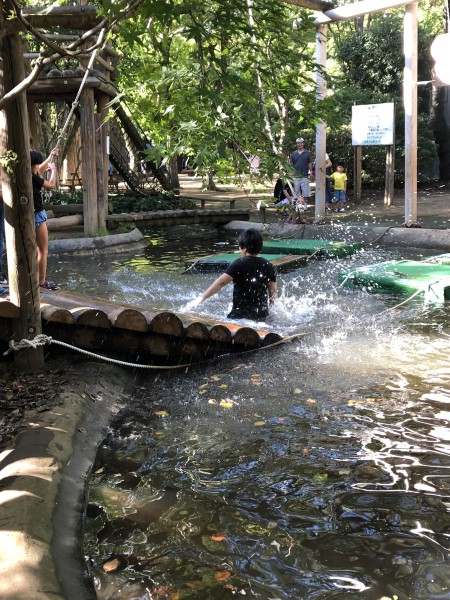 D441A981-E56D-4C12-B33A-9B996E83312A