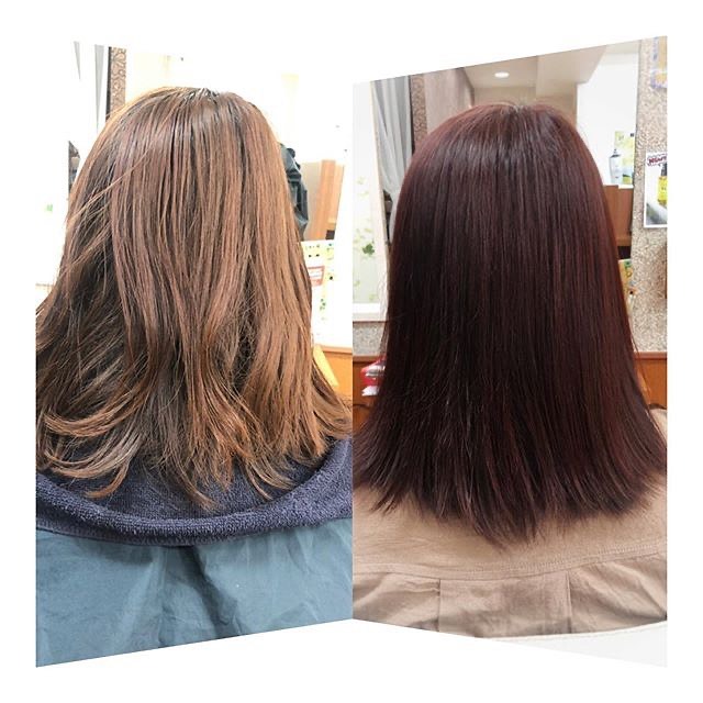 こんにちは！アニモ蒲生店金子です（＾ω＾）全体カラーをしてあげると艶がUPしますよ！抜け切ってしまったお色に全体カラーはいかがでしょうか？？️お得なキャンペーンやってます！#リファビューテックアイロンでさらにツヤ感UP..#ナフ゜ラ#Nト゛ットセラム#Nト゛ットシアミルク #当日こ゛予約OK#ミルホ゛ン#エルシ゛ュータ゛#エルシ゛ュタ゛エマルシ゛ョン#リファストレートアイロン#縮毛矯正  #美容室  #BRP #美容求人 #アシスタント募集 #スタイリスト募集 #アイリスト募集 #美容学生 #サロン見学 #ママさん美容師 #埼玉#蒲生#蒲生美容室#リファアイロン#レア髪