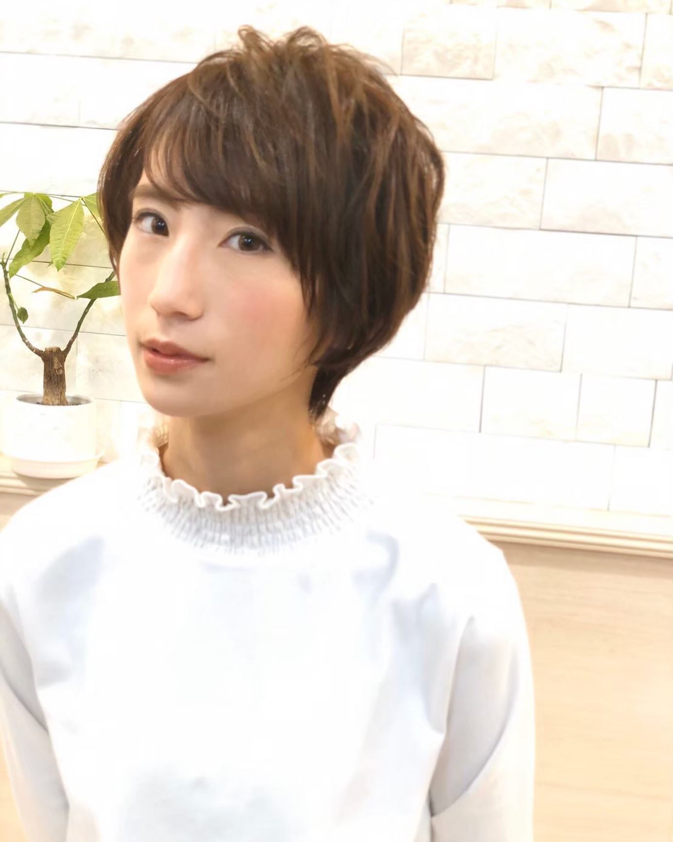 越谷市蒲生の美容室アニモanimoからお知らせ