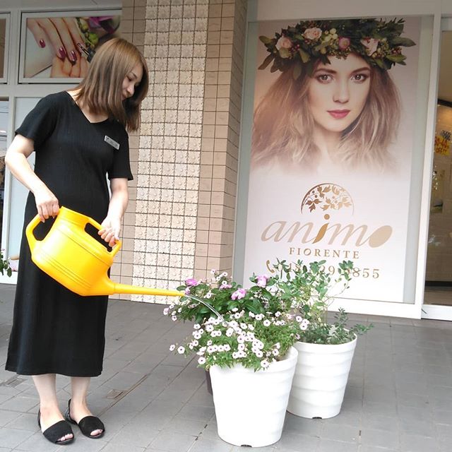 こんにちは増尾です！東川口店では朝と夕方にお花に水をあげ大事に育ててます#N.#ナプラ#ミルボン#美容師求人 #美容室求人 #美容師募集 #スタッフ募集#美容専門学校 #スタイリスト募集 #アシスタント募集 #ネイリスト募集#アーバンパークライン #東武線 #春日部美容室#東萌ビューティーカレッジ#埼玉理容美容専門学校#日曜定休 #美容室日曜日休み #マツエク #ネイル#撮影モデル募集#エルジューダ#アイラッシュ#レイクタウン