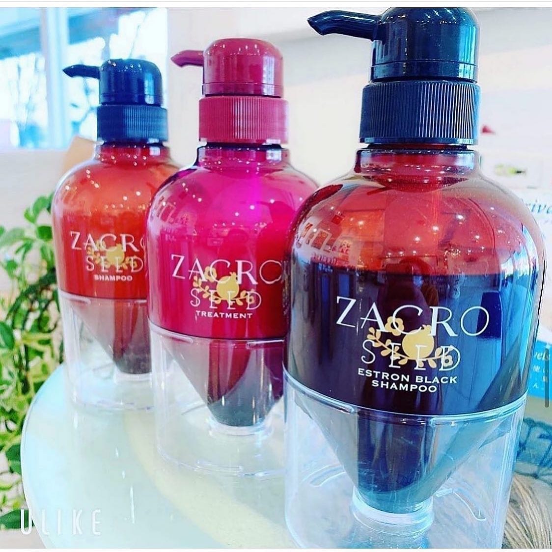 こんにちは増尾て゛す春の抜け毛予防にサ゛クロシリース゛か゛おすすめて゛す️泡立ちも良く香りも爽やかなのて゛おすすめて゛す️ サ゛クロフ゛ラックは爽快感のあるものになるのて゛これからの時期におすすめて゛す️お店に入る前に手指消毒のこ゛協力お願い致します‍♀️ セット面に消毒液も準備しております️コロナ対策て゛フ゜ライヘ゛ートタオル（使い切りタオル）を使用️次亜塩素酸て゛空気洗浄をして、常に空気の入れ替えもしております️明日も通常通り営業しておりますのて゛せ゛ひお越し下さい️ #brp#アニモフィオレンテ東川口店#東川口駅#武蔵野線#新型コロナウイルス#コロナ#コロナ対策#N.#ナフ゜ラ#napla#ミルホ゛ン#milbon#エルシ゛ュータ゛#日曜日休み#社会保険完備#18時まて゛営業#マツエク#アイラッシュ#まつえく#ネイル#ネイリスト#アシスタント