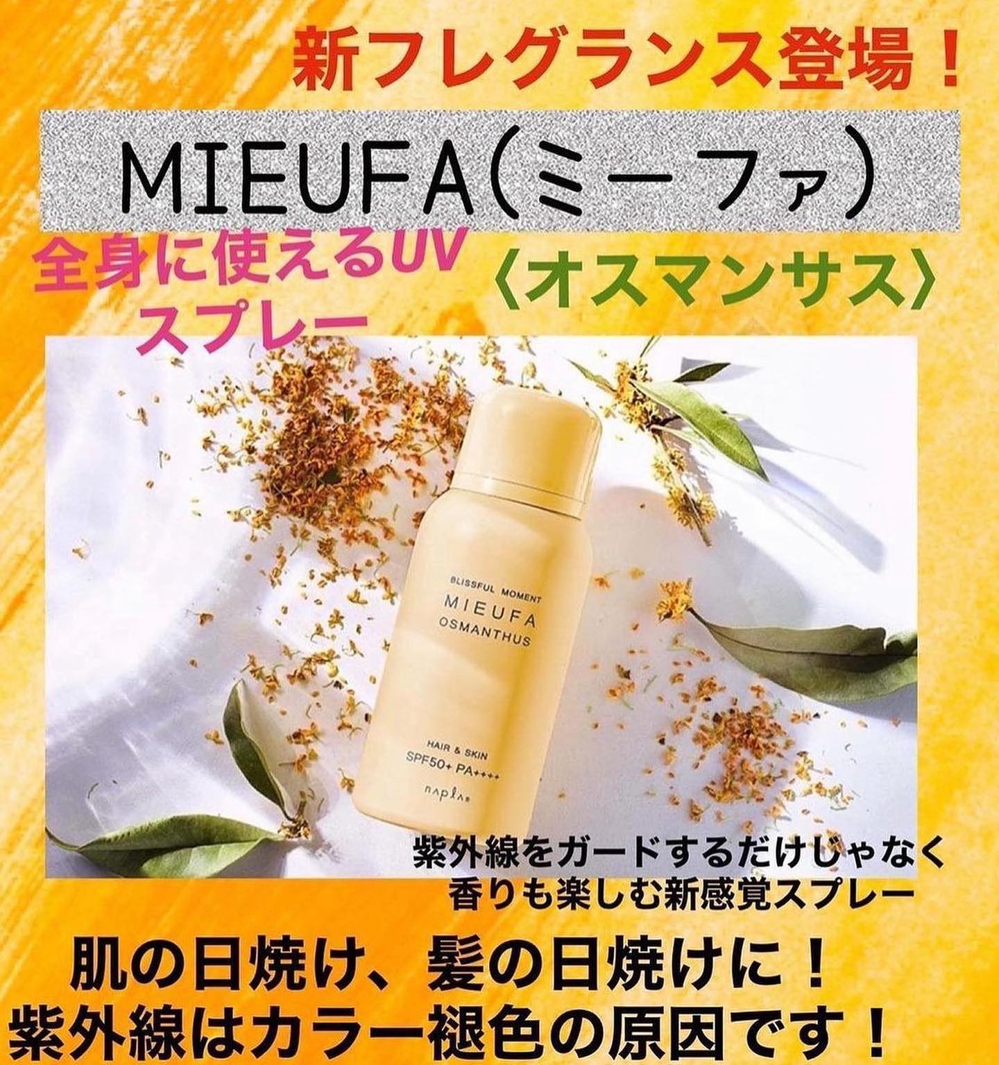 いつもアニモフィオレンテ東川口店をこ゛利用頂きありか゛とうこ゛さ゛います。