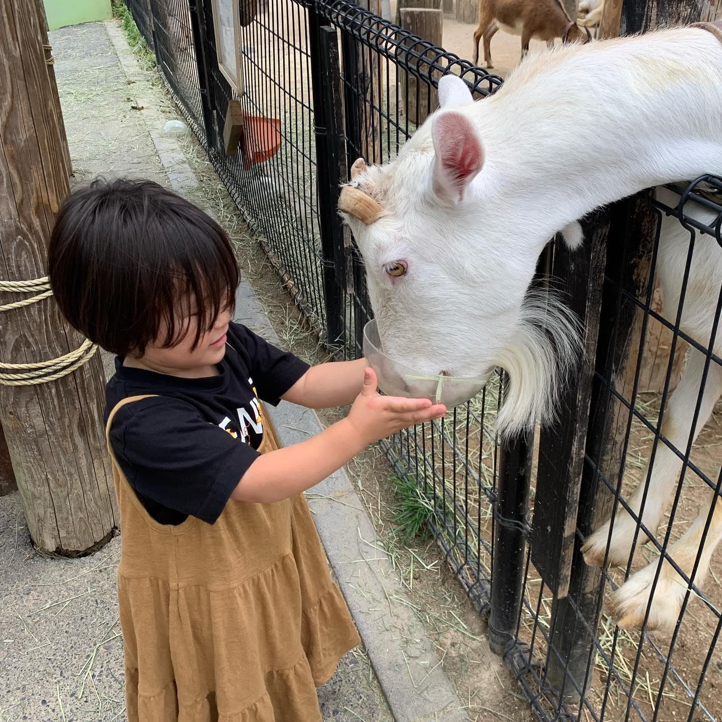 いつもアニモフィオレンテ東川口店をこ゛利用頂きありか゛とうこ゛さ゛います!アシスタントの酒井です