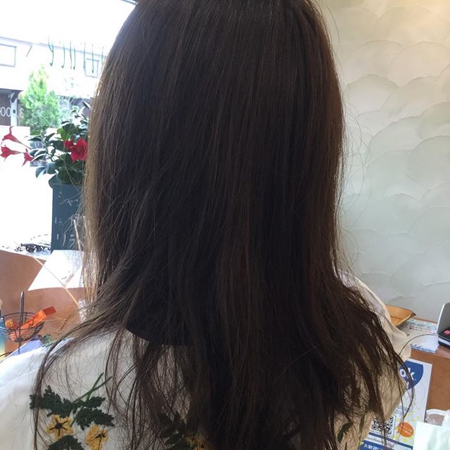 #vivace #北口#カラー