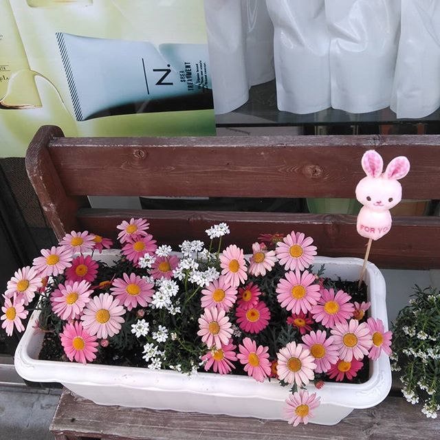 春のお花に植え替えしました！#N.#エヌドット#ナプラ#ミルボン#美容師の休日#美容師の卵#美容学生#美容師 #美容師募集 #スタッフ募集 #美容室 #美容専門学校 #美容師国家試験 #スタイリスト募集 #アシスタント募集 #ネイリスト募集 #美容好き #美容学生 #ママさん美容師 #アーバンパークライン #