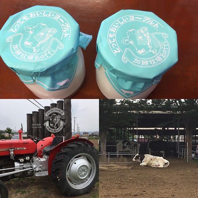 北口大島です。 日高市にある加藤牧場のヨーグルト、めちゃくちゃ美味しかったです。🏎🏎🏎