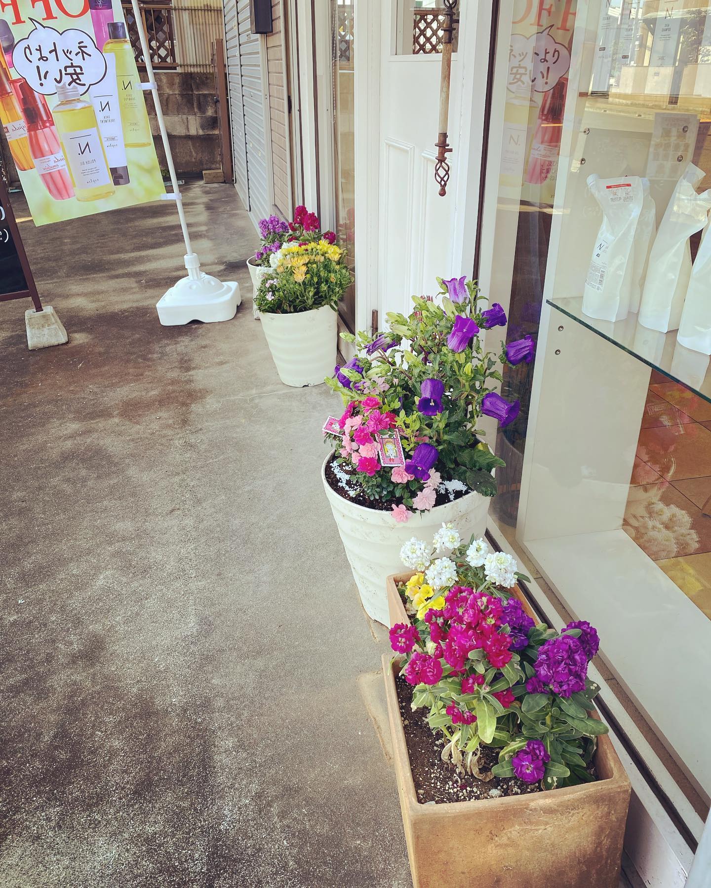 お店の入り口のお花の植え替えをスタッフがやってくれてとっても綺麗です!