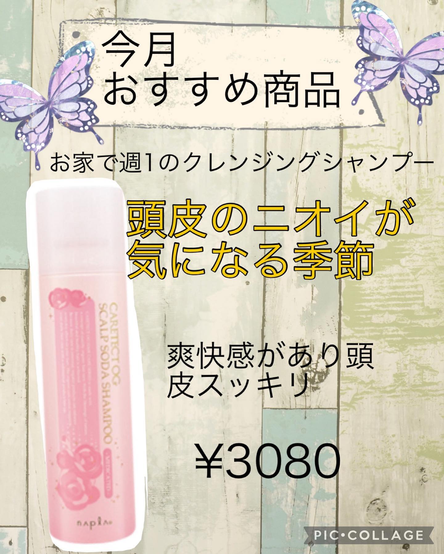 5月のおすすめ商品