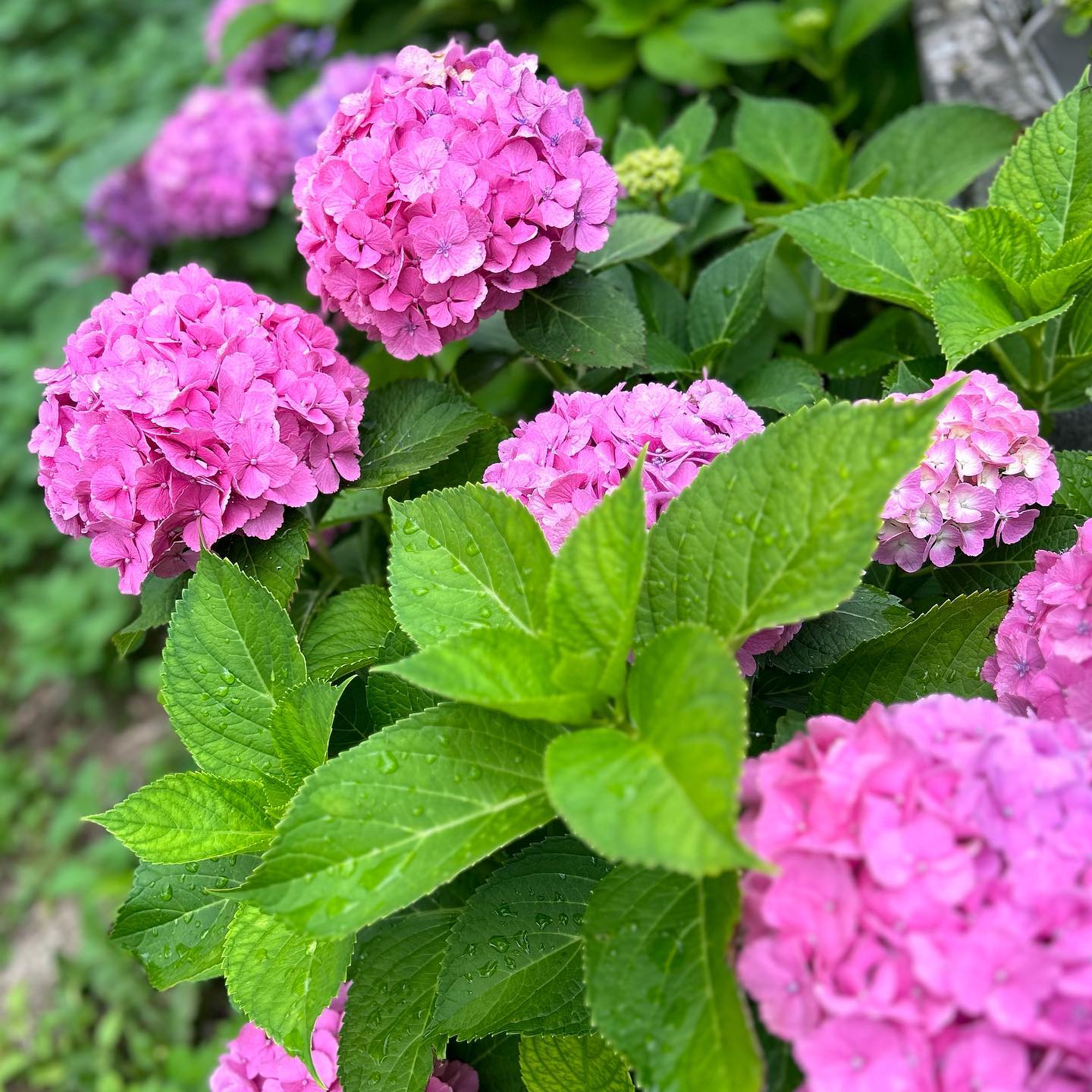 体調も回復し明日から仕事復帰