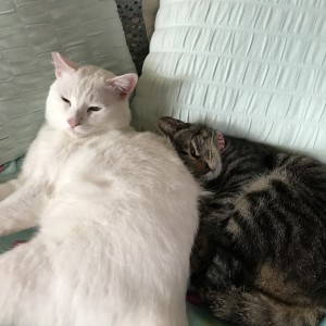 5EF881D6-8D9B-4F6E-95E6-B09B2CA4CDFE