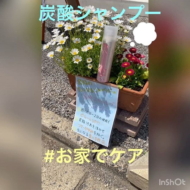 商品だけでもご来店ください当店で購入すると1点で30%引き2点以上で40%引きです
スタイリスト阿部川
#ナプラ#Nドットセラム#Nドットシアミルク #当日ご予約OK#ミルボン#エルジューダ#エルジュダエマルジョン#リファストレートアイロン#野田美容室#ステイホーム#ステイホームがんばろう #お家時間