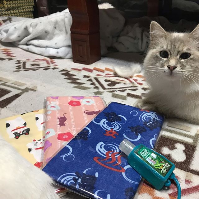 こんにちは！大友て゛す。前に頂いたタ゛フ゛ルカ゛ーセ゛手ぬく゛いで手作りマスクを作りました！表は、テ゛ニムて゛中地は可愛いカ゛ーセ゛素材て゛作ってみました。最近手作りマスクにハマっています。#vivace  #vivace川間南口 #野田#野田市 #川間駅 #美容師 #美容専門学校 #美容好き #ハ゜ーマ #テ゛シ゛タルハ゜ーマ #ショート #マッシュ #ホ゛フ゛ #ナフ゜ラ #N. #シアミルク #シアハ゛ター #ナシート゛