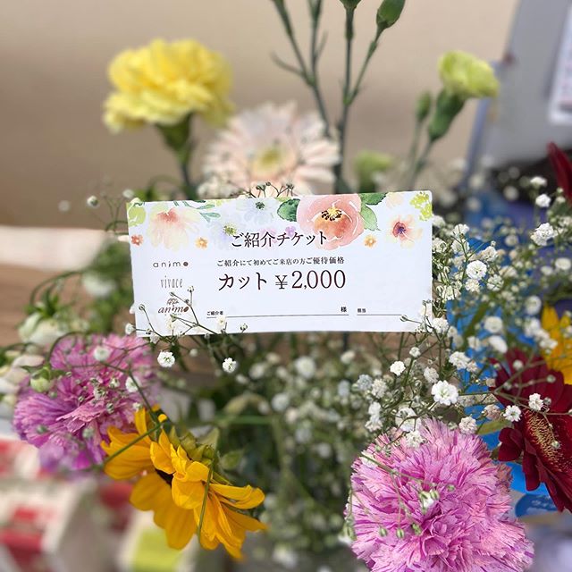 御家族やご友人是非ご紹介ください️カットがお試し価格でご提供できます😀紹介くださったお客様は50%引きで次回ご案内させて頂ます！川間南口店山本#ナプラ#Nドットセラム#Nドットシアミルク #当日ご予約OK#ミルボン#エルジューダ#エルジュダエマルジョン#リファストレートアイロン#縮毛矯正  #野田美容室  #ご紹介特典