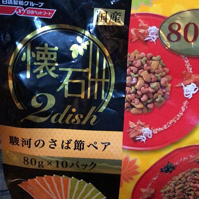 猫ちゃんたちのブーム。南口店 田崎