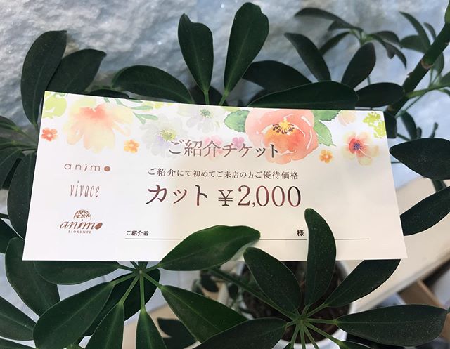 御家族やこ゛友人是非こ゛紹介くた゛さい️カットか゛お試し価格て゛こ゛提供て゛きます😀紹介くた゛さったお客様は50%引きて゛次回こ゛案内させて頂ます！川間南口店大友#ナフ゜ラ#Nト゛ットセラム#Nト゛ットシアミルク #当日こ゛予約OK#ミルホ゛ン#エルシ゛ュータ゛#エルシ゛ュタ゛エマルシ゛ョン#リファストレートアイロン#縮毛矯正  #野田美容室  #こ゛紹介特典