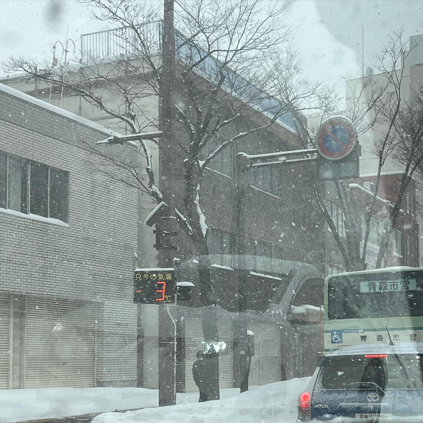 お正月休みに実家に帰省しました！