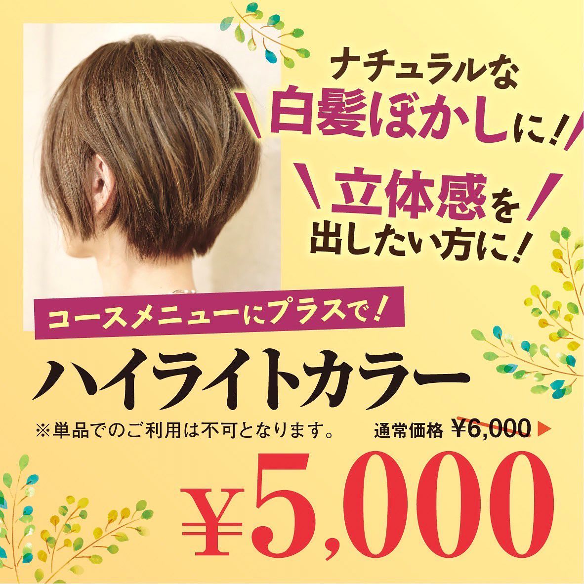 3月限定のハイライトのクーポンも是非お使い下さい