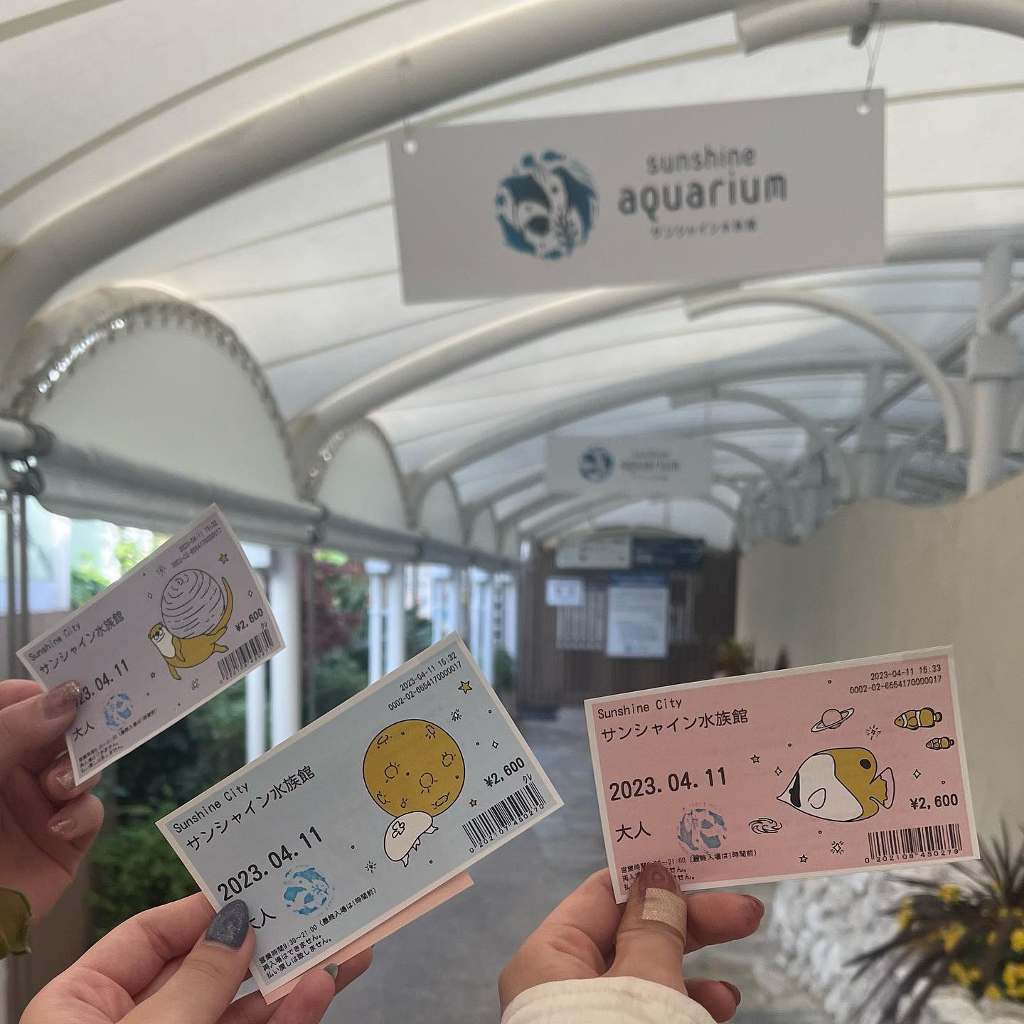 先日サンシャイン水族館に行ってきました