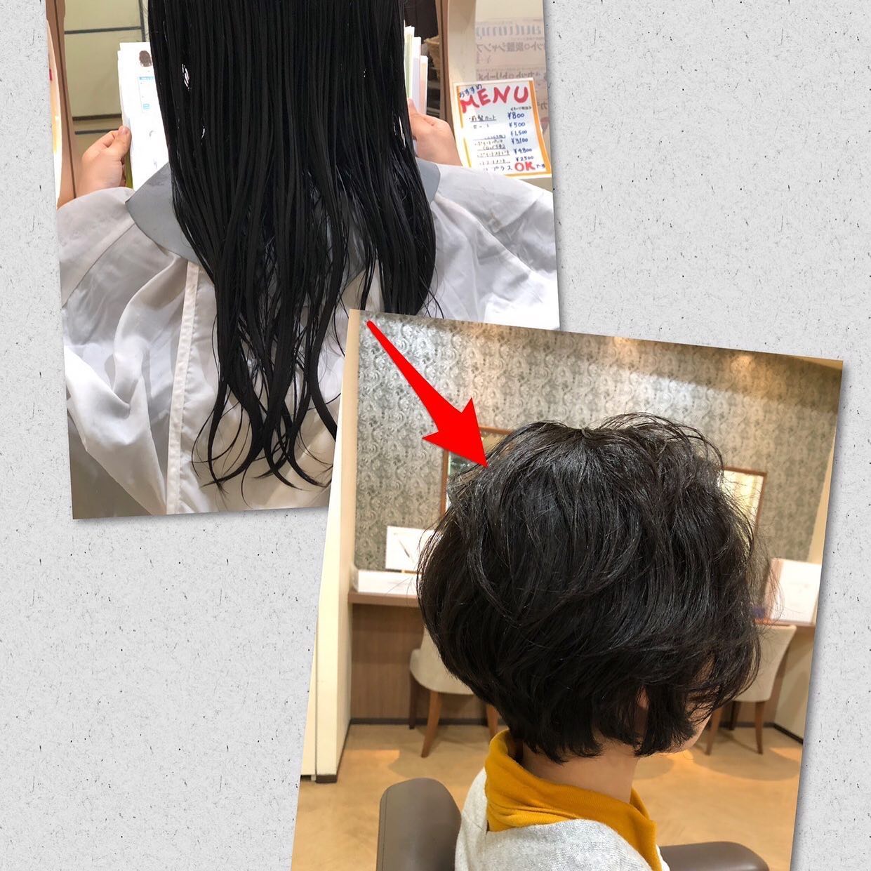 こんにちは。大橋です。