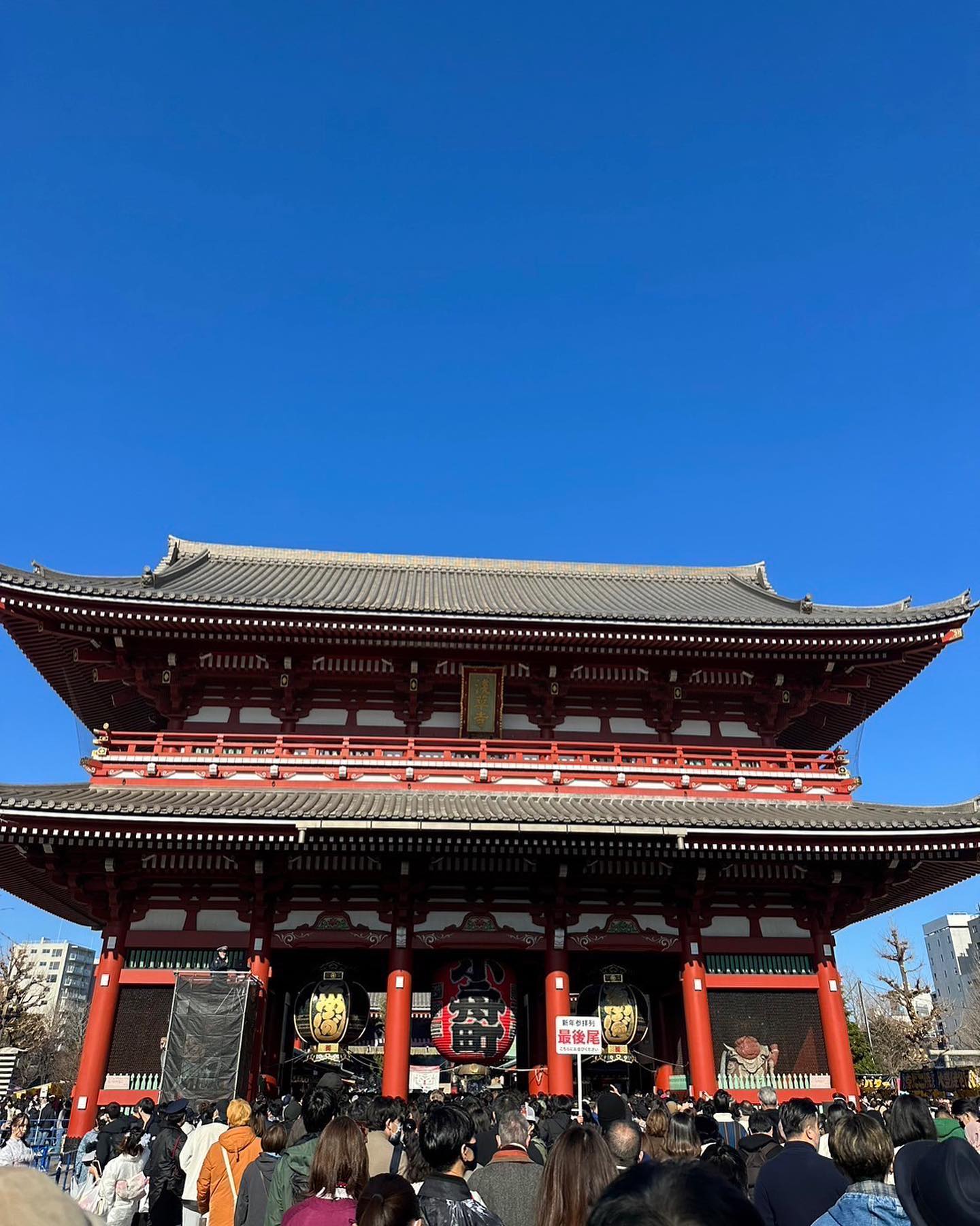 アシスタントの小野寺です！