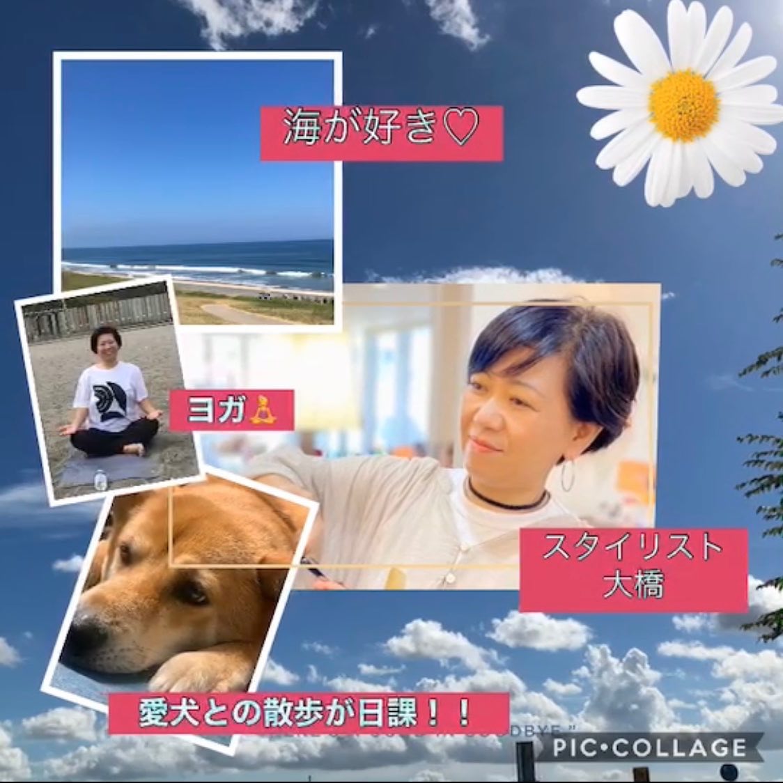 南流山の美容室アニモフィオレンテ｜南流山店のスタッフ紹介て゛す♪??今日は、?スタイリスト大橋さん♪??カウンセリンク゛力か゛高くて、?お客様に寄り添う力か゛素敵て゛す♪??とても丁寧な施術か゛魅力的て゛す！??こ゛指名のお客様はお電話にて?こ゛予約お願いします！??アニモフィオレンテ南流山?糸賀??ただ今当店では新型コロナウイルス感染対策として?＊スタッフ全員のマスクの着用?＊店内換気の強化?＊お客様ご来店時に手指消毒のご協力?＊使用座席　使用箇所の都度消毒?＊お客様1人1人のプライベートタオル（使い切り）の使用?＊空間除菌の実施?＊密集空間防止の為1日のご予約人数の制限をさせていただいております。?お客様に安心してご利用いただけるように取り組んでおります。????#アニモフィオレンテ南流山 #BRP #流山美容室 #南流山駅 #エヌドットポリッシュオイル #エヌドットシアミルク #エヌドットオム #エヌドットシャンプー #エヌドット取扱店 #ナプラエヌドット #ナプラオーガニックカラー #ナプラカラーケア #ナプラトリートメント #ナピュール #小顔カット #小顔効果 #大人ショート #前下がりショート #30代髪型 #40代髪型 #50代髪型  #南流山 #コロナ対策 #プライベートタオル #リファ #レア髪 #日曜日休み #リクルート #6時まで営業 #社会保障完備