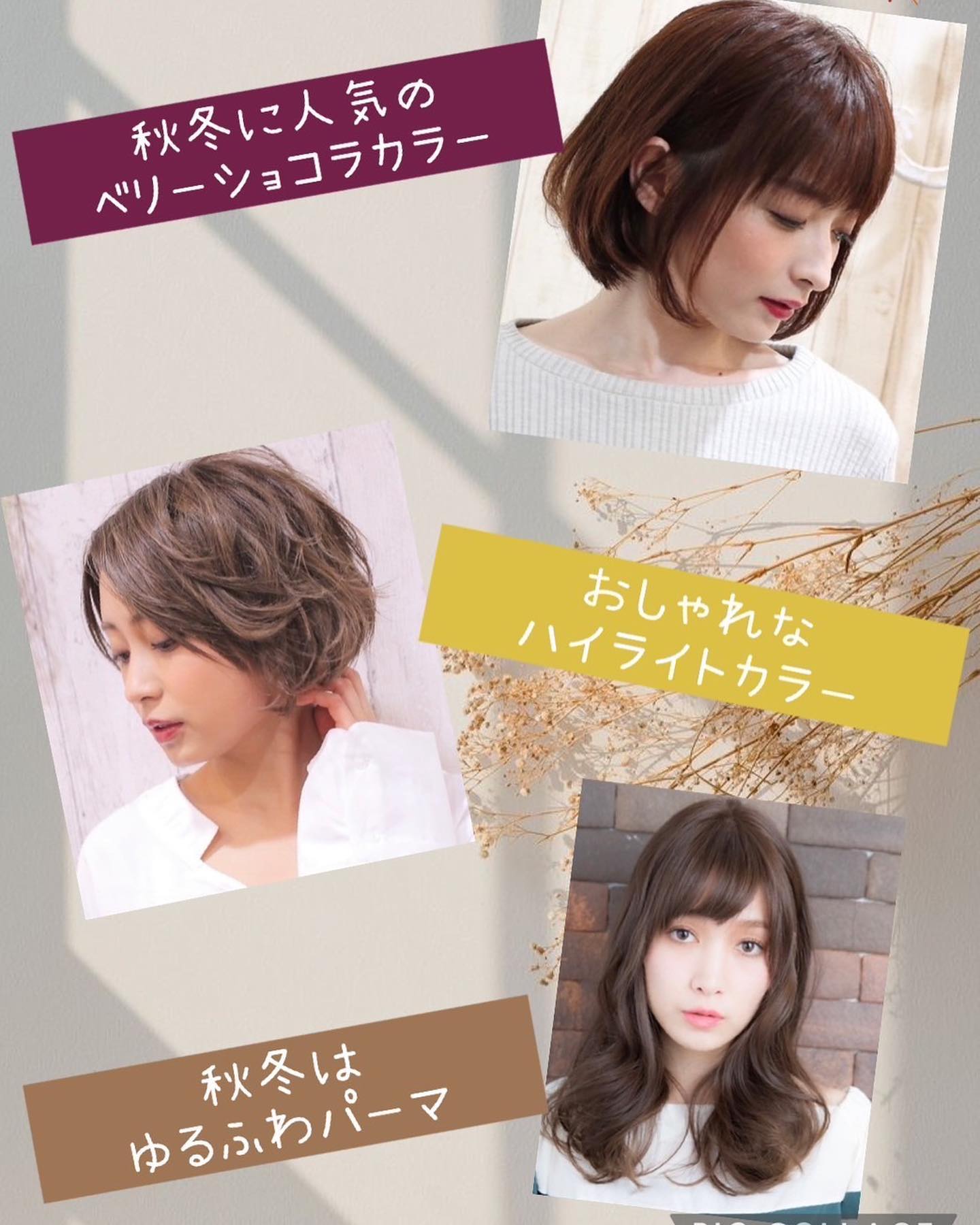 お天気の悪い日も続きますが、アニモで気分チェンジしませんか？？