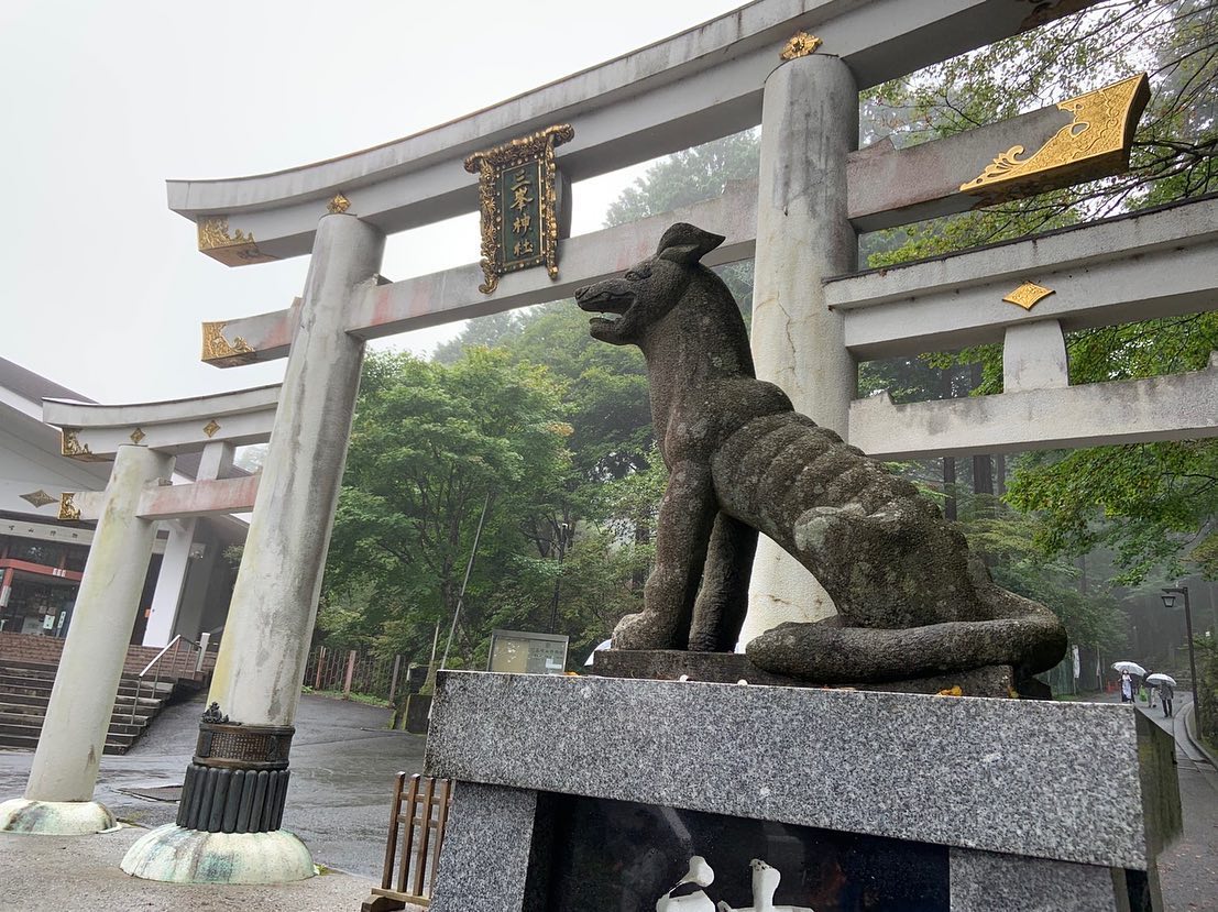こんにちは。店長の飛鳥馬です。