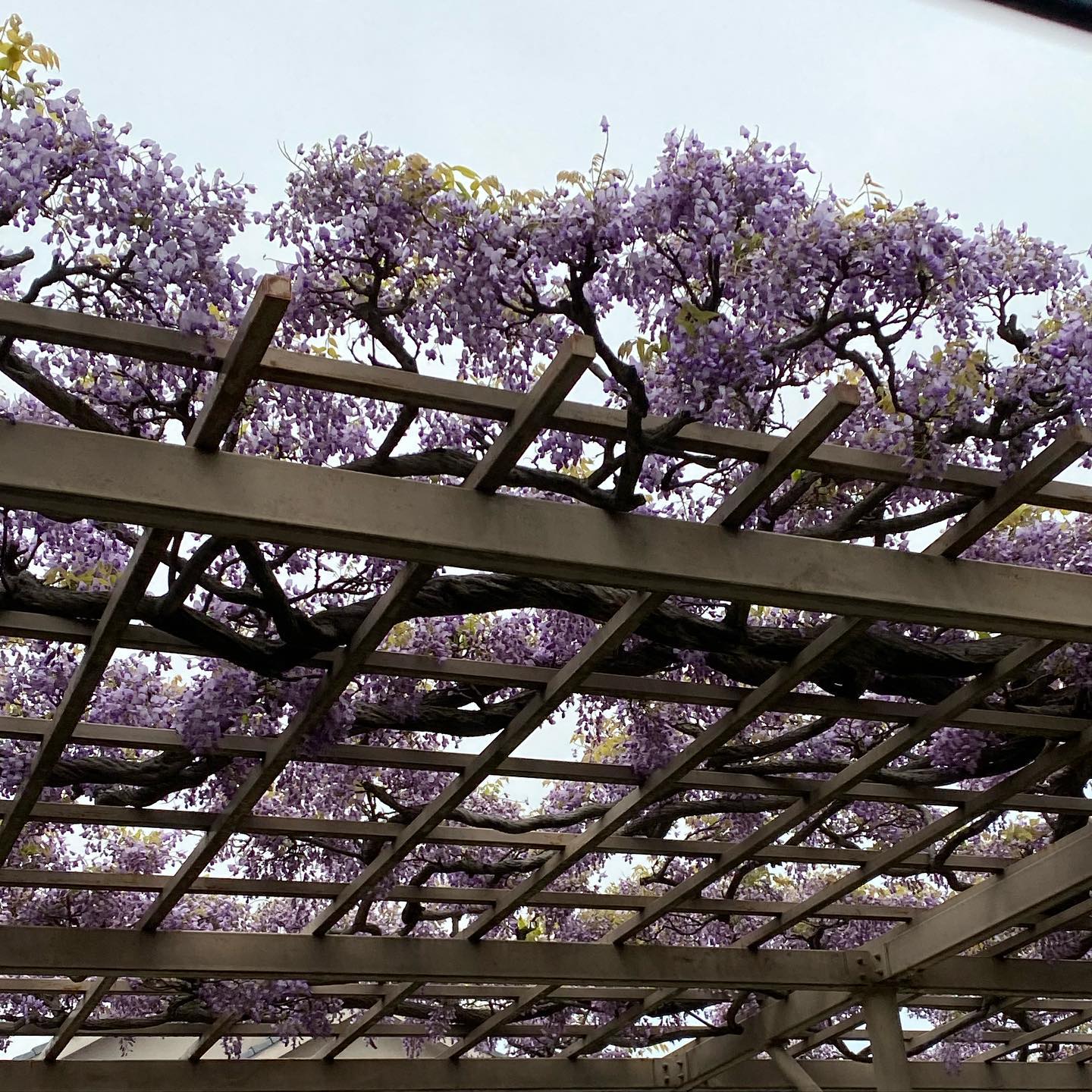 こんにちは！！